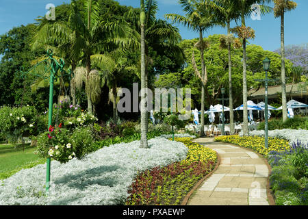 Durban, KwaZulu-Natal, in Sudafrica, il percorso che conduce alla sala da tè nel bellissimo Parco Mitchell, città giardino botanico, paesaggio Foto Stock