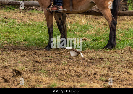 Western americano bianco cappello da cowboy, sceso in segno di resa e di sconfitta. Cavalli italiana e Rodeo show, gioco di ruolo sul soleggiato, giorno d'estate. Foto Stock