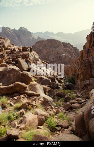 Il monte Sinai in Egitto Foto Stock