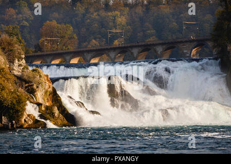 Cascate del Reno di Neuhausen am Rheinfall, Svizzera Foto Stock