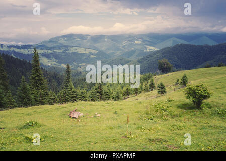 Andscape nelle montagne dei Carpazi Foto Stock