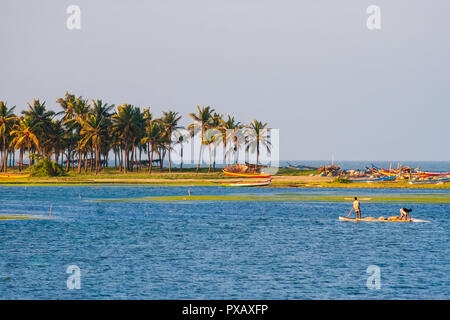 I pescatori per la cattura di pesce a Chennai Buckingham Canal con palme in background su un bel pomeriggio Foto Stock