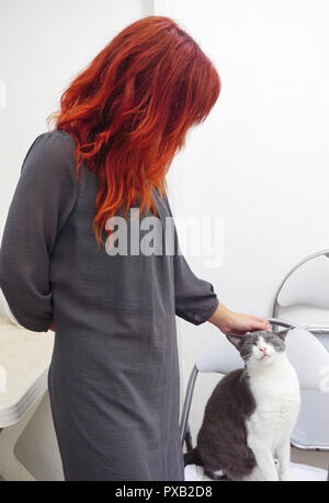 Il gatto domestico e dai capelli rossi donna che coccola esso Foto Stock