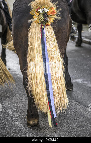 Tradizionale festa Hueter in Perchtoldsdorf, Bassa Austria, area di Vienna, Perchtoldsdorf Foto Stock