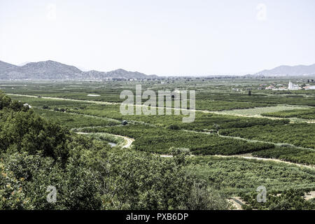 Area fertile vicino Makarska Riviera, Dalmazia, Croazia Foto Stock