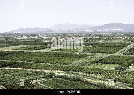 Area fertile vicino Makarska Riviera, Dalmazia, Croazia Foto Stock