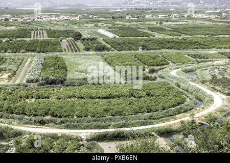 Area fertile vicino Makarska Riviera, Dalmazia, Croazia Foto Stock