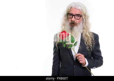 Studio shot di senior barbuto imprenditore azienda red rose Foto Stock