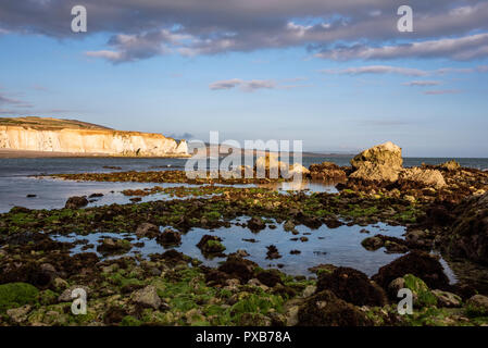 Bassa marea a Baia di acqua dolce, Isola di Wight in Inghilterra Foto Stock