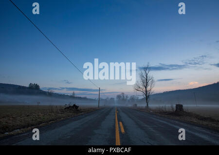 Un fantasma della nebbia aleggia sulle superfici agricole lungo una strada di campagna nello Stato di New York durante una calda serata di gennaio. Foto Stock