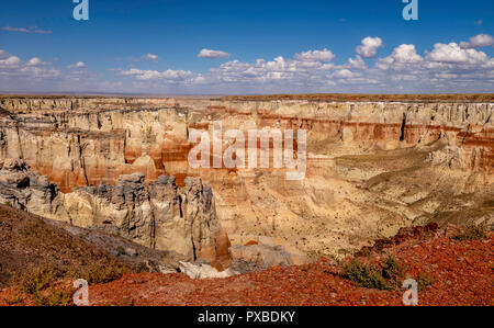 A sud ovest di viaggio Foto Stock