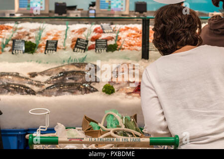 Sydney pescivendolo la vendita di pesce fresco,mitili e ostriche,Sydney , Australia Foto Stock