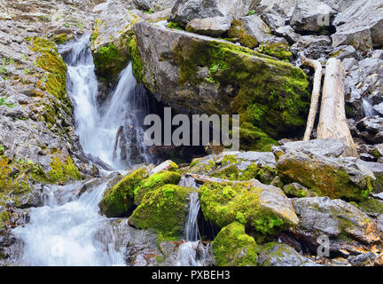 La cascata e flusso di fiume viste sulla montagna dai sentieri escursionistici a ciambella cade in grandi pioppi neri americani Canyon nel Wasatch Front Montagne Rocciose, Utah, W Foto Stock