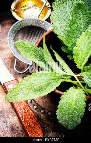 Delizioso infuso di tè alle erbe con salvia su sfondo rétro Foto Stock