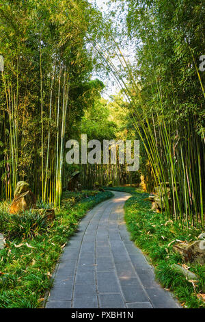 Wangjiang Pavilion nel parco Wangjianglou. Chengdu Sichuan, Cina Foto Stock