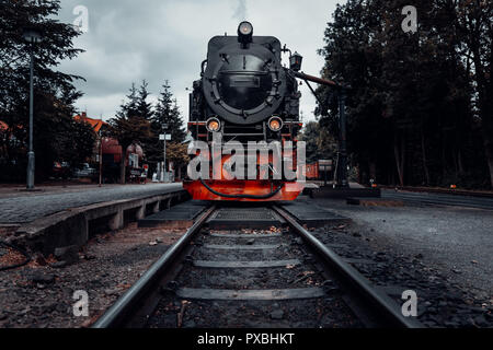 Ferrovia a scartamento ridotto Foto Stock