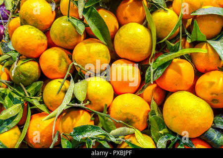 Arance clementine sul mercato, Palma de Mallorca, Spagna Foto Stock