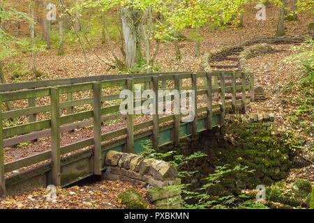 Passerella in legno e i colori autunnali a Eller Beck, Skipton Castle boschi, Skipton, North Yorkshire, Inghilterra, Ottobre Foto Stock