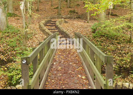 Passerella in legno e i colori autunnali a Eller Beck, Skipton Castle boschi, Skipton, North Yorkshire, Inghilterra, Ottobre Foto Stock