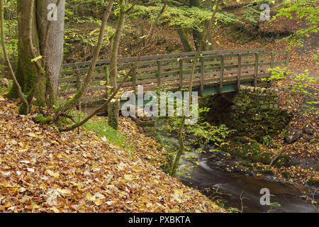 Passerella sul Eller Beck, Skipton Castle boschi, Skipton, North Yorkshire, Inghilterra, Ottobre Foto Stock