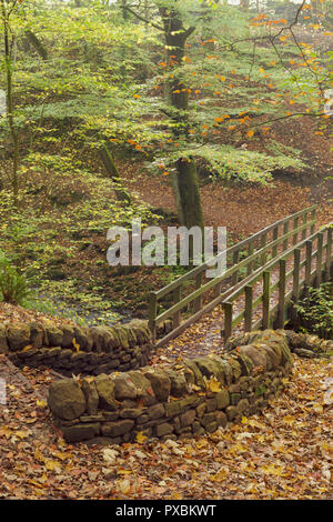 Passerella e muro di pietra a Eller Beck, Skipton Castle boschi, Skipton, North Yorkshire, Inghilterra, Ottobre Foto Stock