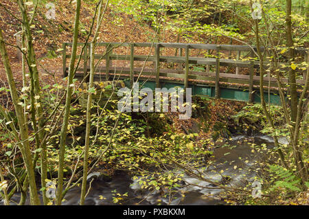 Passerella in legno a Eller Beck, Skipton Castle boschi, Skipton, North Yorkshire, Inghilterra, Ottobre Foto Stock