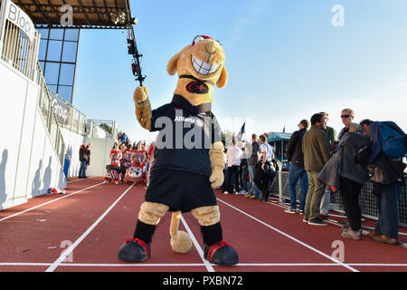 Londra, Regno Unito. Xx oct, 2018. I Saraceni' mascotte durante il rugby europeo Champions Cup, Round 2, piscina 3 corrispondenza tra i saraceni e Lione a Allianz Park sabato, 20 ottobre 2018. Londra Inghilterra. (Solo uso editoriale, è richiesta una licenza per uso commerciale. Nessun uso in scommesse, giochi o un singolo giocatore/club/league pubblicazioni.) Credito: Taka Wu/Alamy Live News Foto Stock