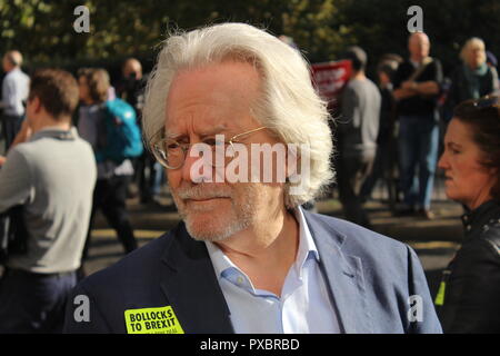 Londra, Regno Unito. Xx oct, 2018. Voto popolare marzo: centinaia di migliaia di persone partecipare a Londra protesta Credito: Jason Murphy/Alamy Live News Foto Stock