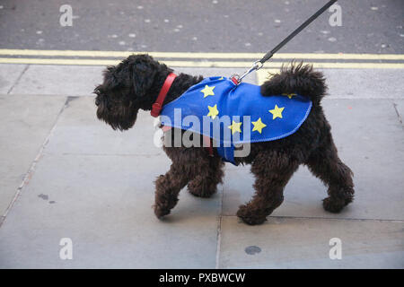 Londra, Regno Unito. Un cane vestito di una bandiera europea è portato su un guinzaglio con migliaia di Pro Europa gli attivisti che hanno marciato attraverso il centro di Londra al Parlamento chiedendo un voto finale sul Brexit trattare sulla Gran Bretagna lasciando Unione europea come si è stimato che la protesta ha attirato più di centomila persone Credito: amer ghazzal/Alamy Live News Foto Stock