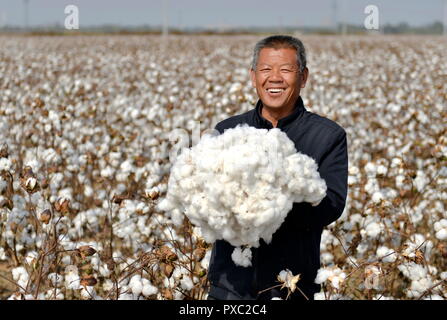 Xingtai cinese nella provincia di Hebei. Xxi oct, 2018. Un agricoltore presenta il raccolto di cotone in Nangong, nel nord della Cina di nella provincia di Hebei, Ottobre 21, 2018. Credito: Zhu Xudong/Xinhua/Alamy Live News Foto Stock