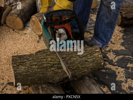 Lumberman utilizzando una motosega segatura di legno secco giacente sul terreno. Foto Stock