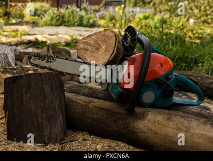 Lumberman utilizzando una motosega segatura di legno secco giacente sul terreno. Foto Stock