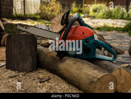 Lumberman utilizzando una motosega segatura di legno secco giacente sul terreno. Foto Stock