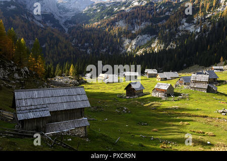 Colorato prato alpino e capanne di legno in autunno, Slovenia, Foto Stock