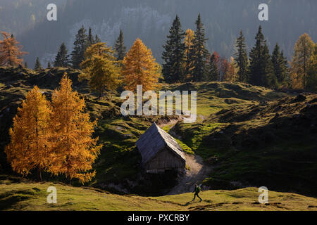 Donna escursionismo sul prato Krstenica al tramonto, sulle Alpi Giulie, Slovenia Foto Stock