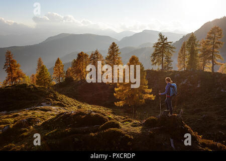 Donna in piedi su una collina a prato Krstenica tenendo i bastoni per escursioni alla luce dorata al tramonto, sulle Alpi Giulie, Slovenia Foto Stock