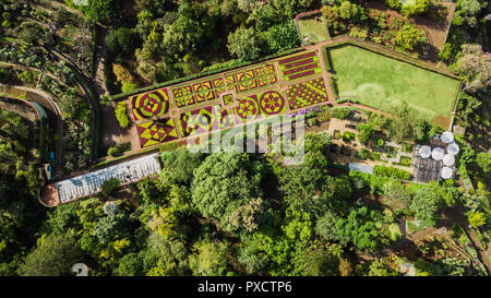 Drone vista dall'alto del giardino botanico ,"Jardim Botanico da Madeira', nella città di Funchal, l'isola di Madeira, Portogallo. Foto Stock
