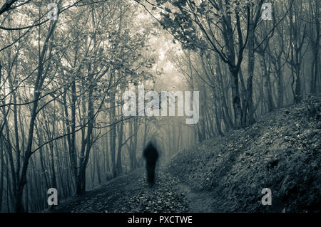 Un spooky incappucciati sfocata figura su un percorso in foggy inverno boschi, con un vintage, muto, tonica modifica Foto Stock