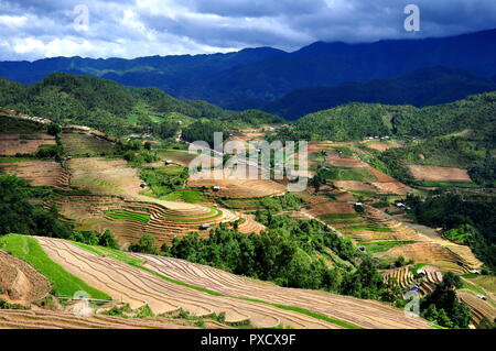 Terrazze di riso Mu Cang Chai - le meraviglie degli agricoltori Foto Stock