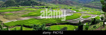 Terrazze di riso MuCangChai - le meraviglie degli agricoltori Foto Stock