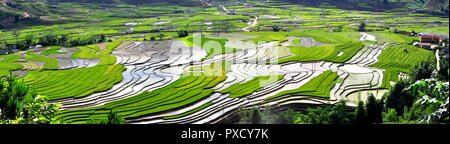 Terrazze di riso MuCangChai - le meraviglie degli agricoltori Foto Stock