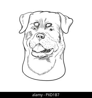 Rottweiler faccia isolati su sfondo bianco. Mano di watchdog bozzetto. Tedesco di razza del cane. Illustrazione Vettoriale