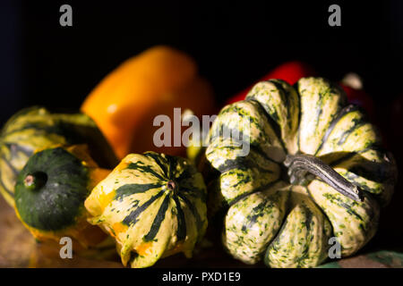 Selezione dei coloquintidi ornamentali con il rosso e il giallo dei peperoni dolci in background Foto Stock