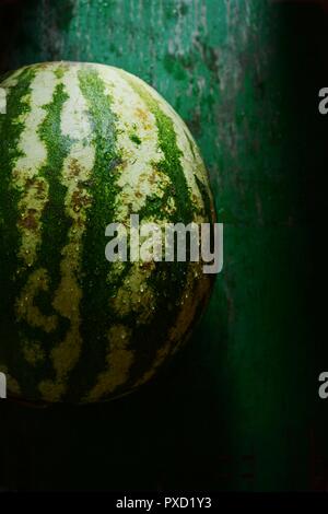 Un grande cocomero maturo su uno sfondo verde scuro. Foto Stock