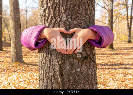 Bambino rendendo le mani a forma di cuore su un tronco di albero Foto Stock