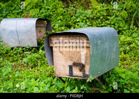 Apiario o l'Apicoltura azienda agricola la strada principale lungo la foresta di montagna la pioggia gronda. Foto Stock