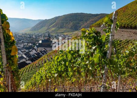 Valle dell'Ahr, Germania. Il villaggio di Dernau, un centro di produzione di vini è circondato da ripidi pendii ricoperti di vigneti Foto Stock