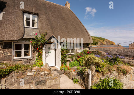 Cottage con il tetto di paglia - Cadgwith Cove, Cornwall, Regno Unito. Foto Stock