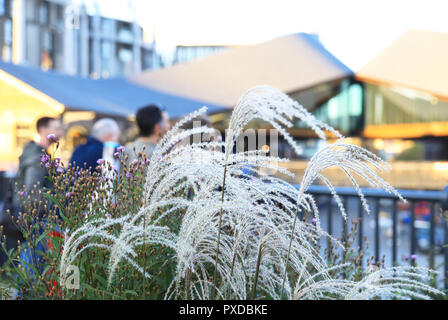 Il nuovo carbone scende Yard shopping e lifestyle area a Kings Cross, a nord di Londra, Regno Unito Foto Stock