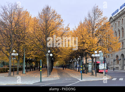 Kungsträdgården, Stoccolma, Svezia Foto Stock